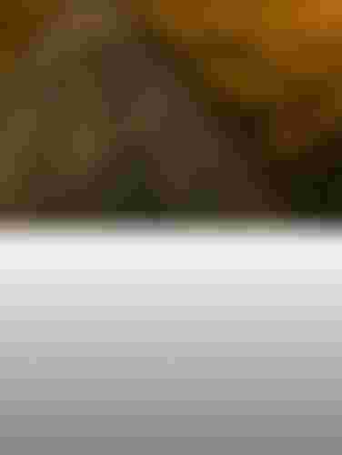 SQlab_WEB_614_SQantara_Banner5