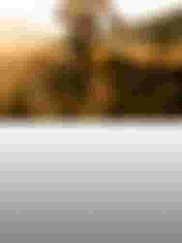 SQlab_WEB_614_SQantara_Banner4