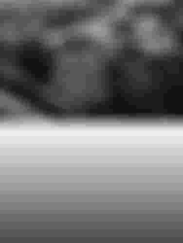 SQlab_Black_Friday_Header_mobile