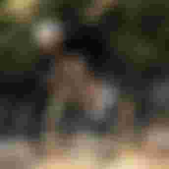 sqlab-road-lifestyle