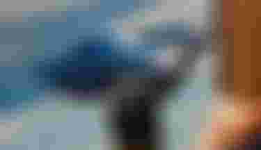 sqlab.produkte.sattel.613.ergowave.r.613R_Kilian-14