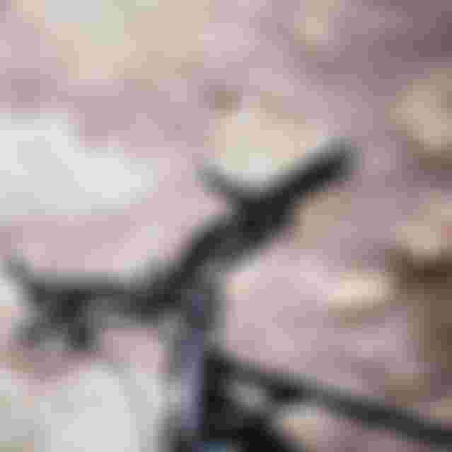 sqlab.mtb.productshots.2023.byRupertFowler.98632
