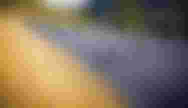 SQlab_Basf Infinergy