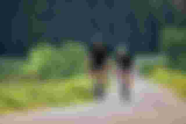sqlab.studie.druckmessung.fuss.rennrad.2024.byUrsGollinger.0027
