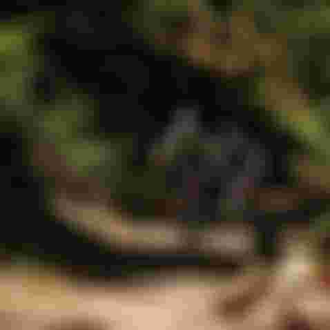 sqlabpedale5OXmtb22024byUrsGolling0030