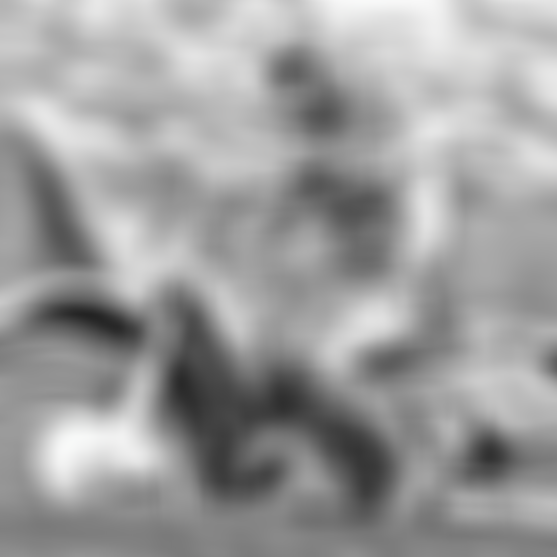 sqlab612ERGOWAVE®active21ltdWardySpecialbyTroyLee Designs04_DLegends_JW Ward
