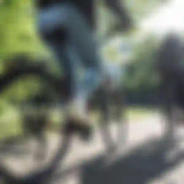 Two cyclists ride along a sunlit path in a park, surrounded by green trees and a modern building in the background.
