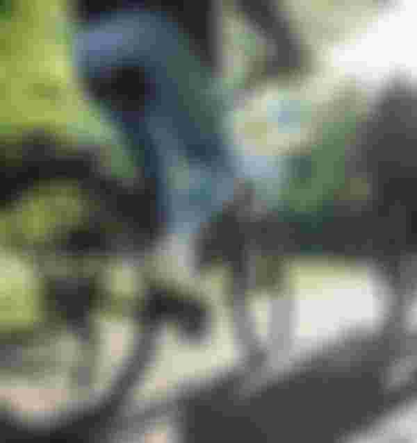 Two cyclists ride along a sunlit path in a park, surrounded by green trees and a modern building in the background.