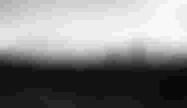 _photo Bartek Woliński @wolisphoto_DSC3248_vntr