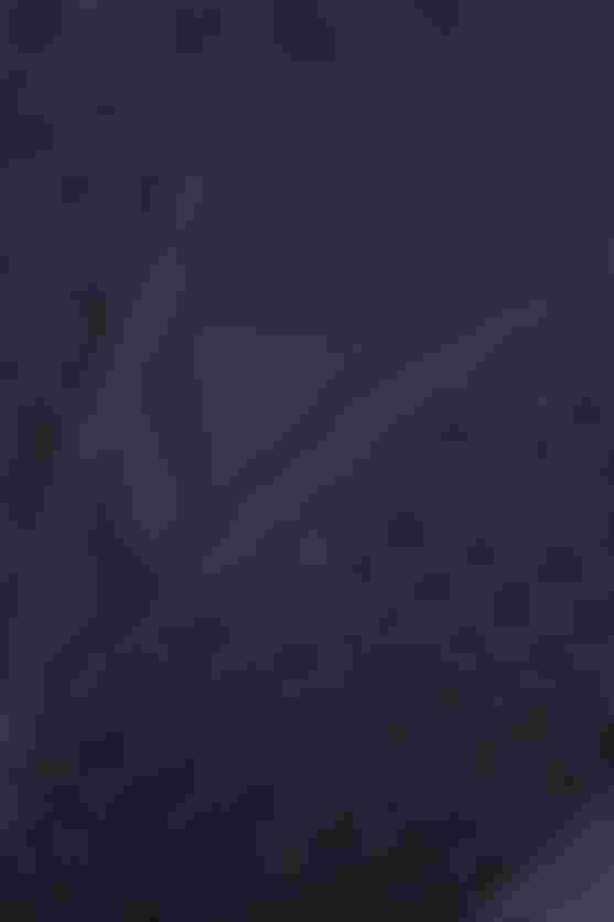 Detailaufnahme der SQ-Shorts ONE10 von hinten, zeigt den seitlichen Übergang vom Bund zum Oberschenkel mit perforiertem, atmungsaktivem Material.