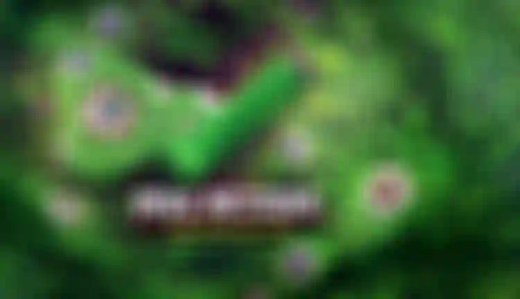 metzger_v2