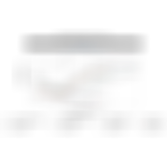 sqlab.studie.fl-x.311.flx.auswertung.lenker.DE