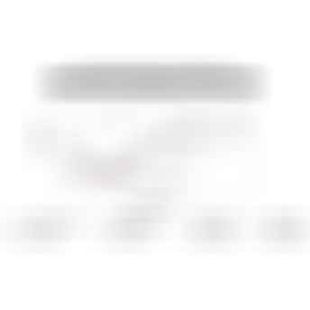 sqlab.studie.fl-x.311.flx.auswertung.lenker.EN