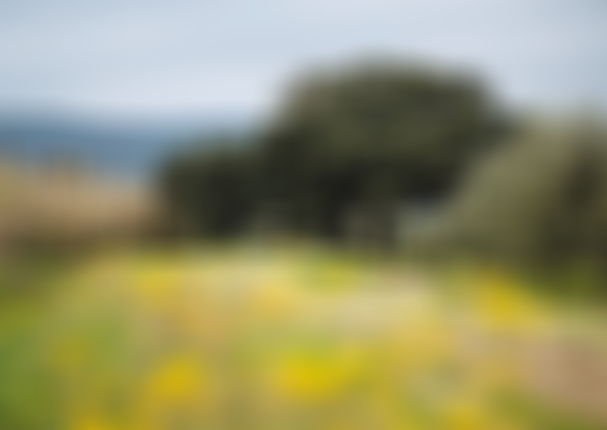 sqlab.simple.stage.road.gravel.productshots.2023.byRupertFowler.96761
