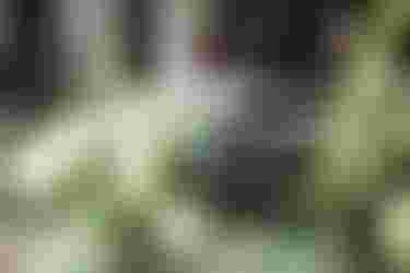 SQlab City Lifestyle