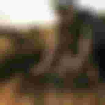 SQlab Gravel Lifestyle