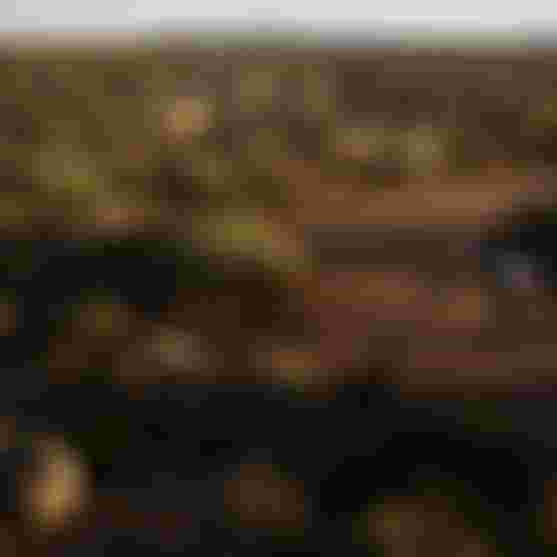 Gravel Action/Lifestyle