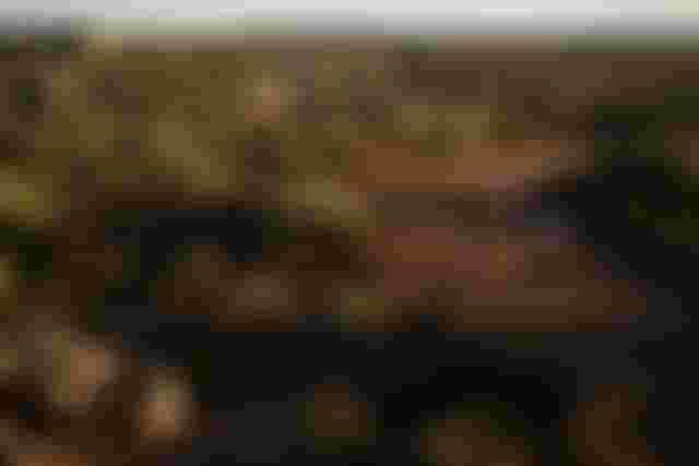 Gravel Action/Lifestyle