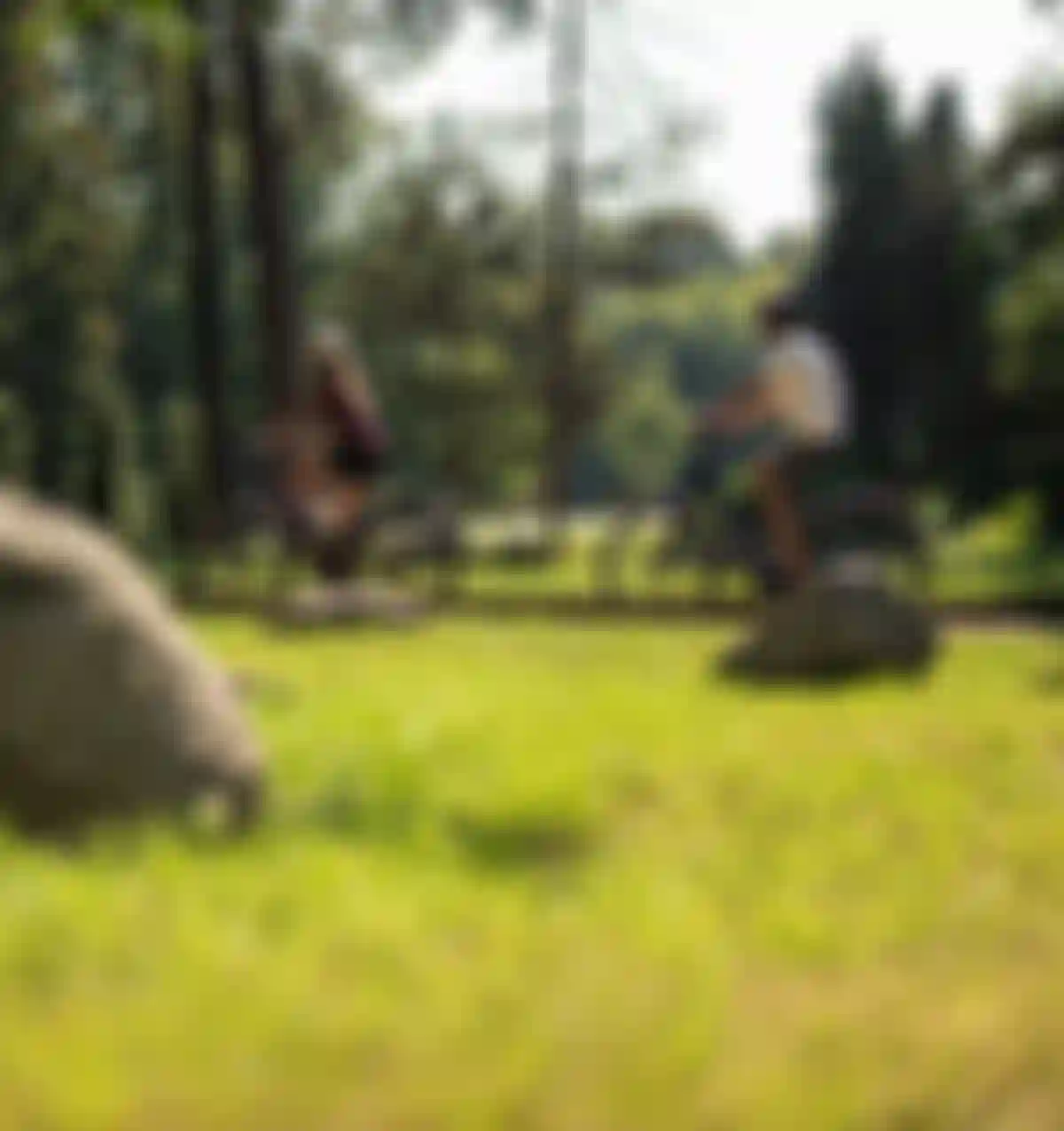 Two people are riding bicycles on a sunny forest path, surrounded by lush green trees and rocks.