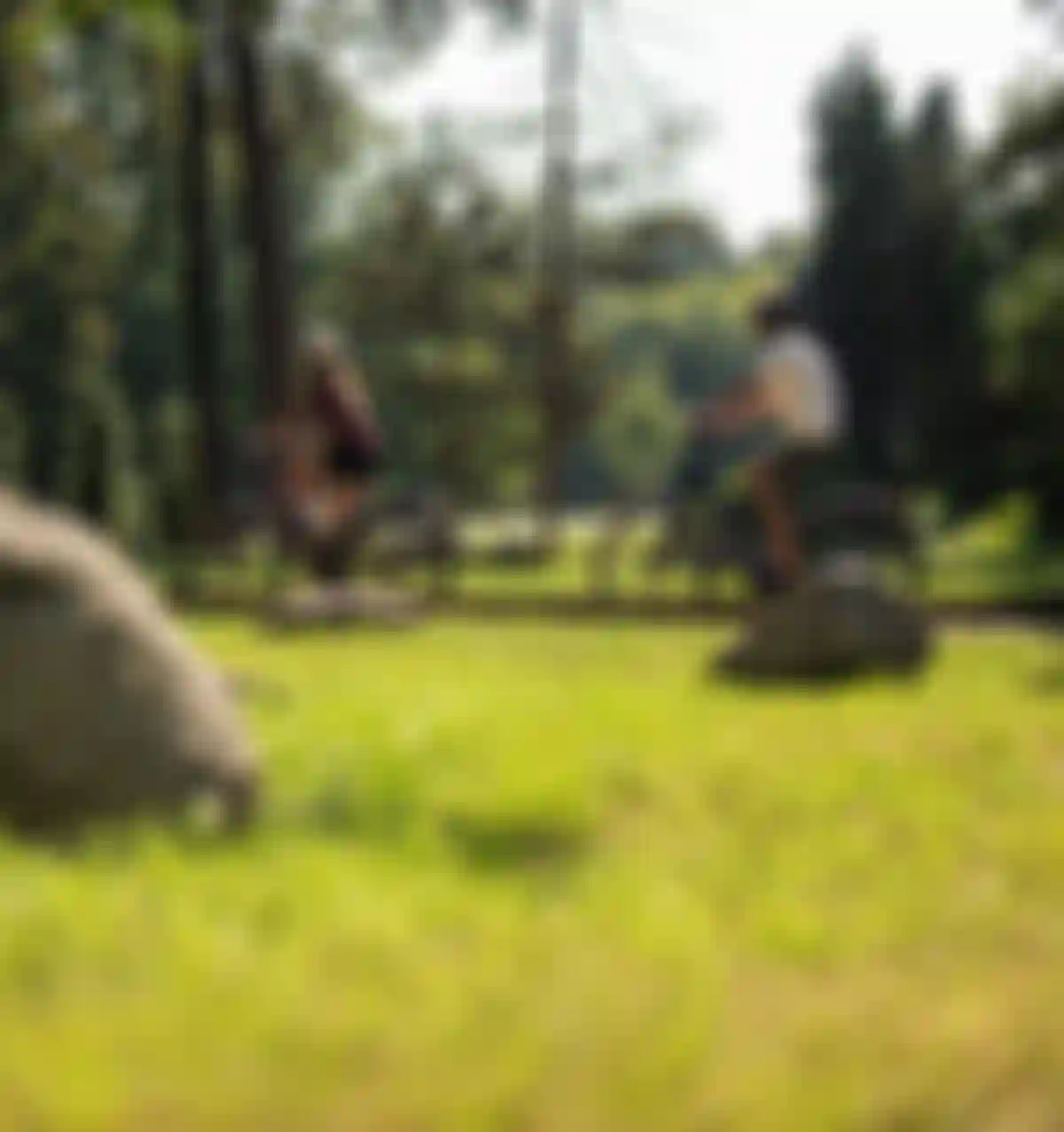 Two people are riding bicycles on a sunny forest path, surrounded by lush green trees and rocks.