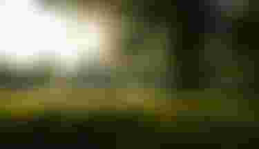 SQlab Trekking Lifestyle