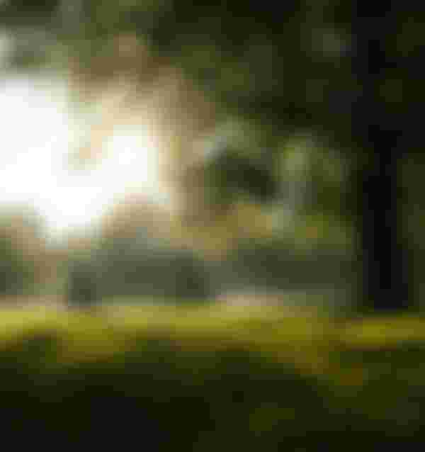 SQlab Trekking Lifestyle