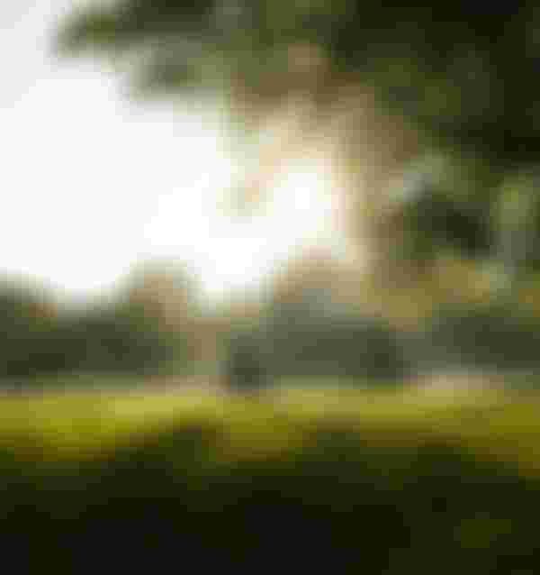 SQlab Trekking Lifestyle