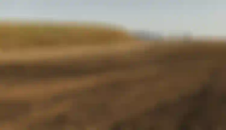 SQlab Gravel Lifestyle