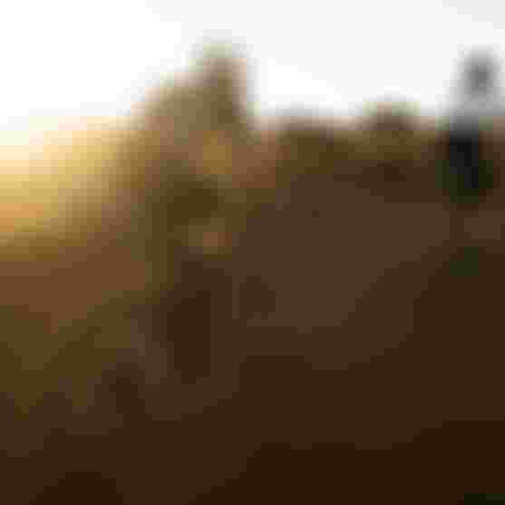 SQlab Gravel Lifestyle