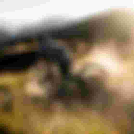 A mountain biker navigates a dusty trail on a grassy hillside at sunset, with distant mountains in the background.