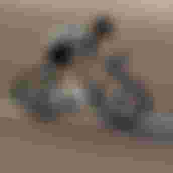 SQlab Road Lifestyle