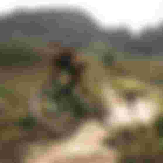 SQlab-MTB-EMTB-Lifestyle