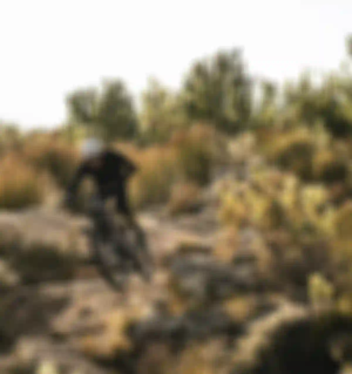 SQlab-MTB-EMTB-Lifestyle