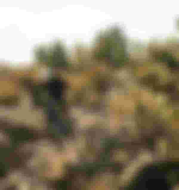 SQlab-MTB-EMTB-Lifestyle