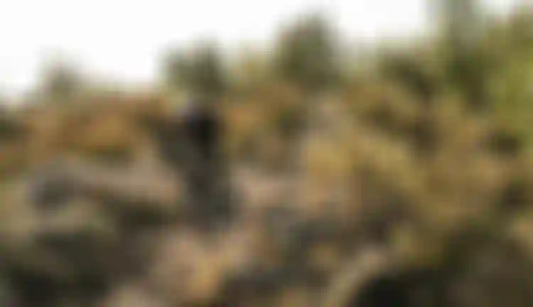 SQlab-MTB-EMTB-Lifestyle