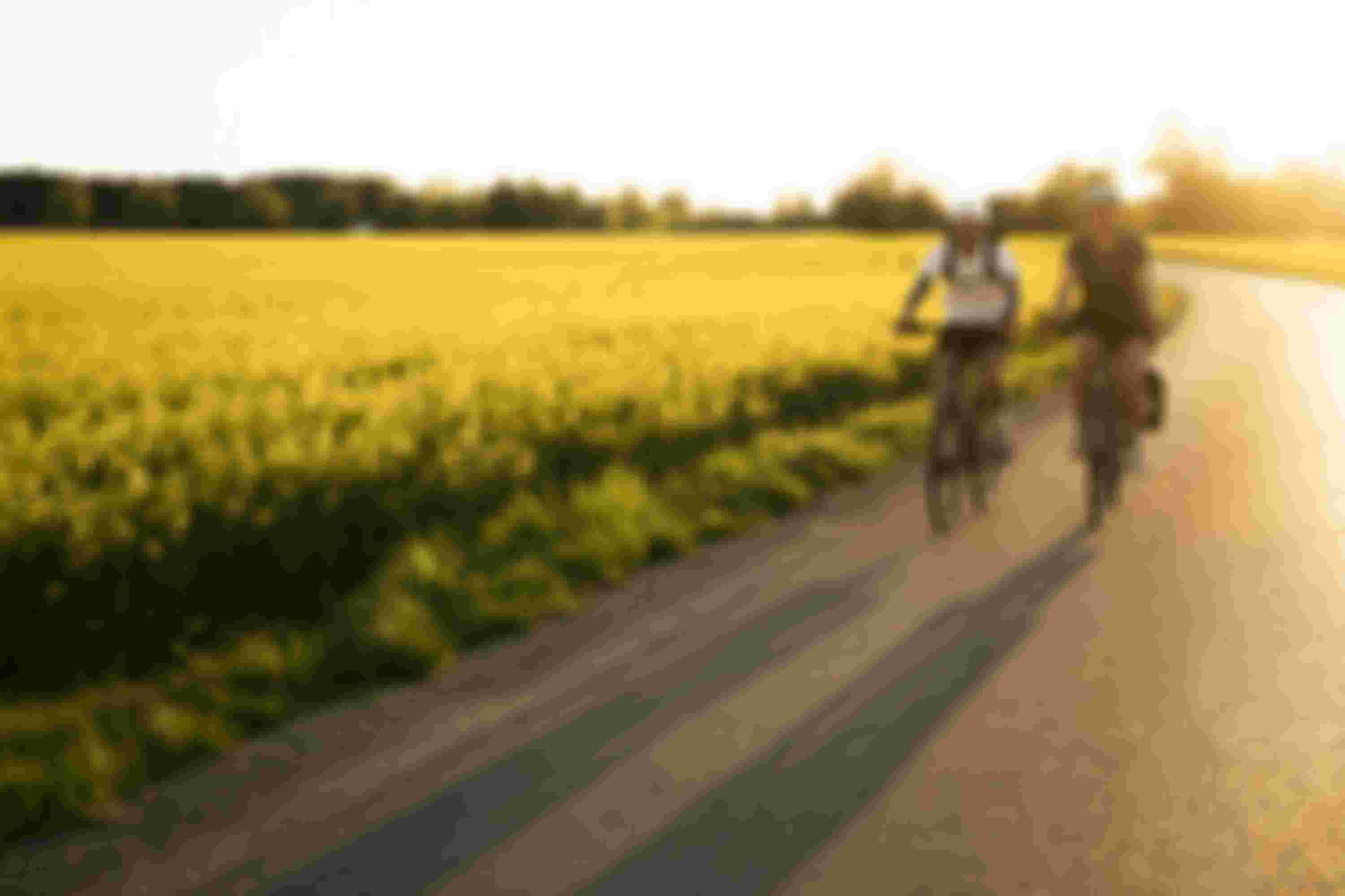 SQlab Trekking Lifestyle