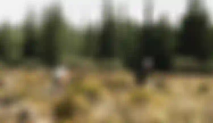 SQlab Trail Lifestyle