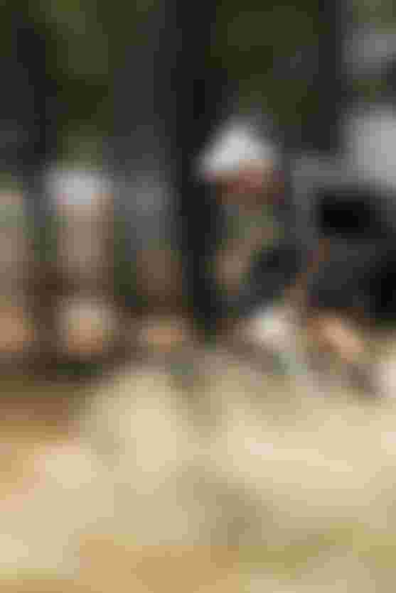 SQlab Trail Lifestyle