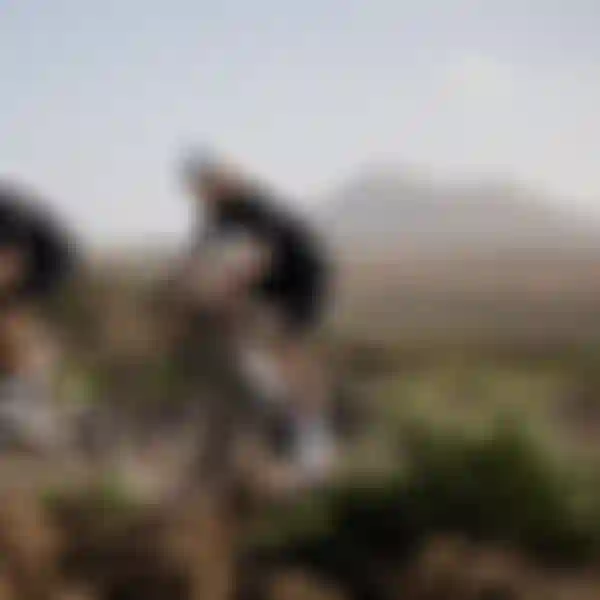 Two cyclists in black outfits and white helmets ride on a rocky path, with distant hills and a clear sky in the background.