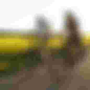 SQlab Trekking Lifestyle