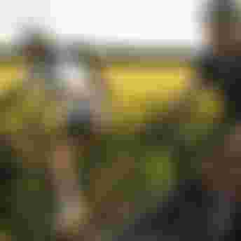 SQlab Trekking Lifestyle