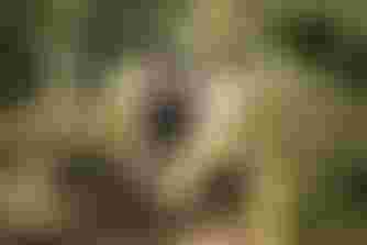 SQlab MTB EMTB Lifestyle