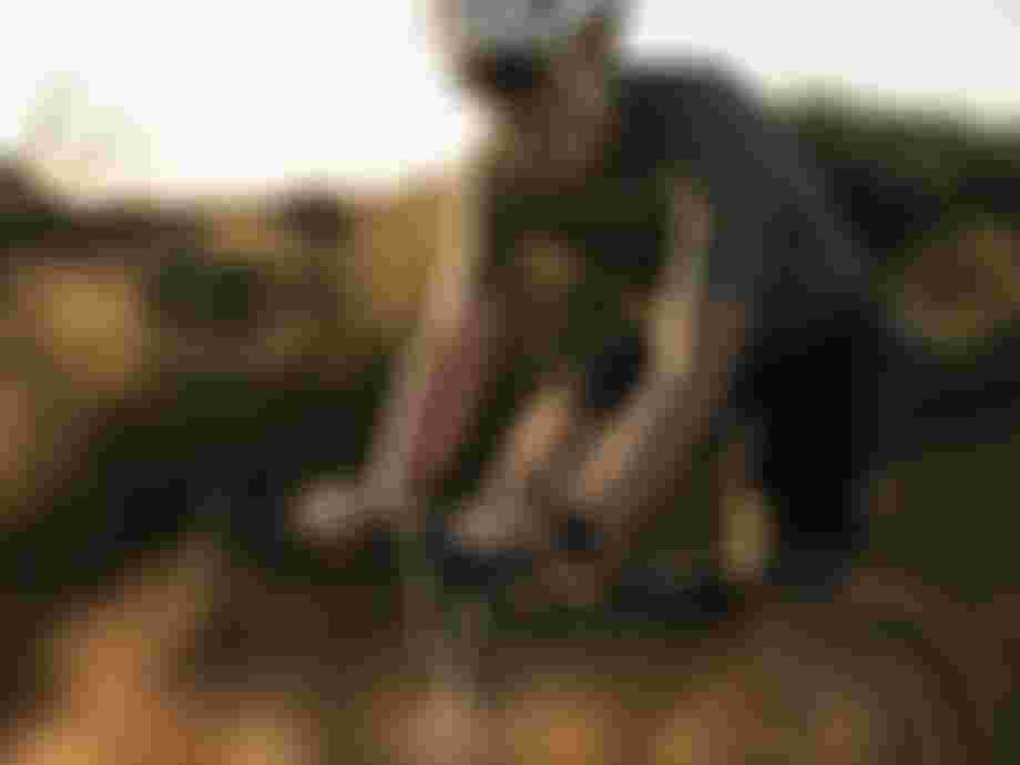 SQlab Gravel SQ-Shorts ONE11