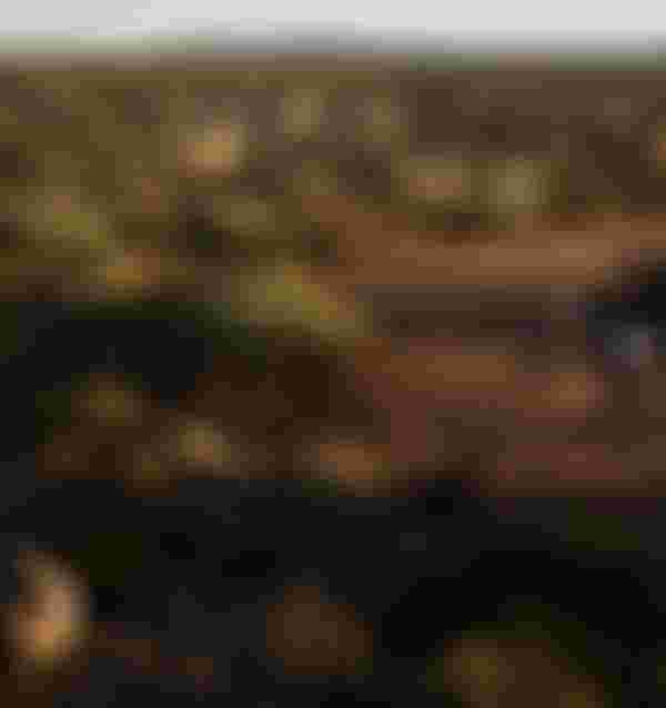 SQlab Gravel Lifestyle