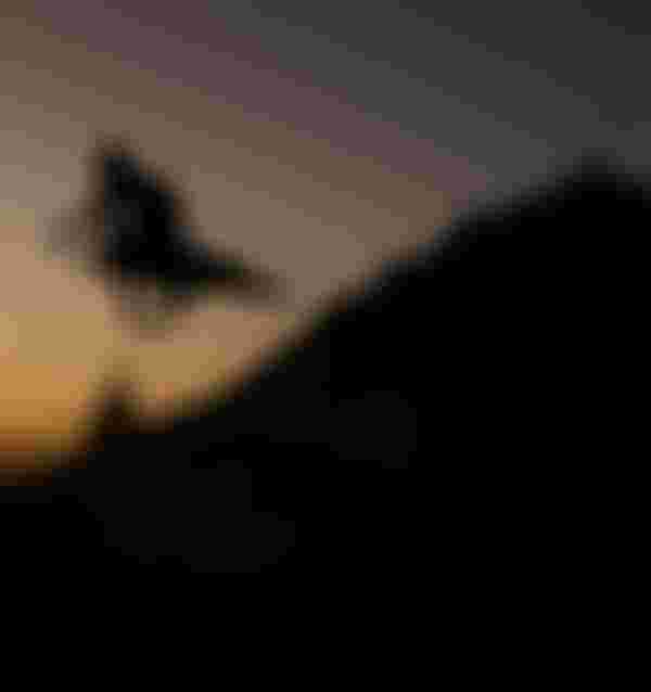 SQlab MTB EMTB Lifestyle