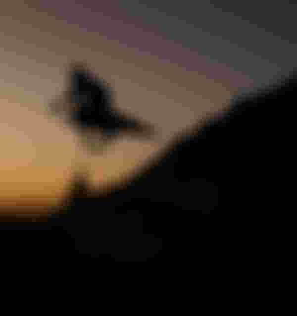 SQlab MTB EMTB Lifestyle