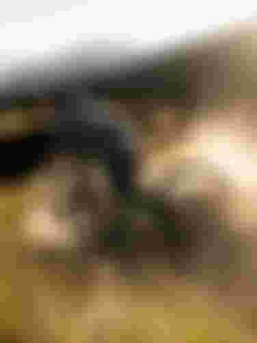 Mountain biker skids downhill on a dirt trail, creating a dust cloud, with rugged mountains and a hazy sky in the background.