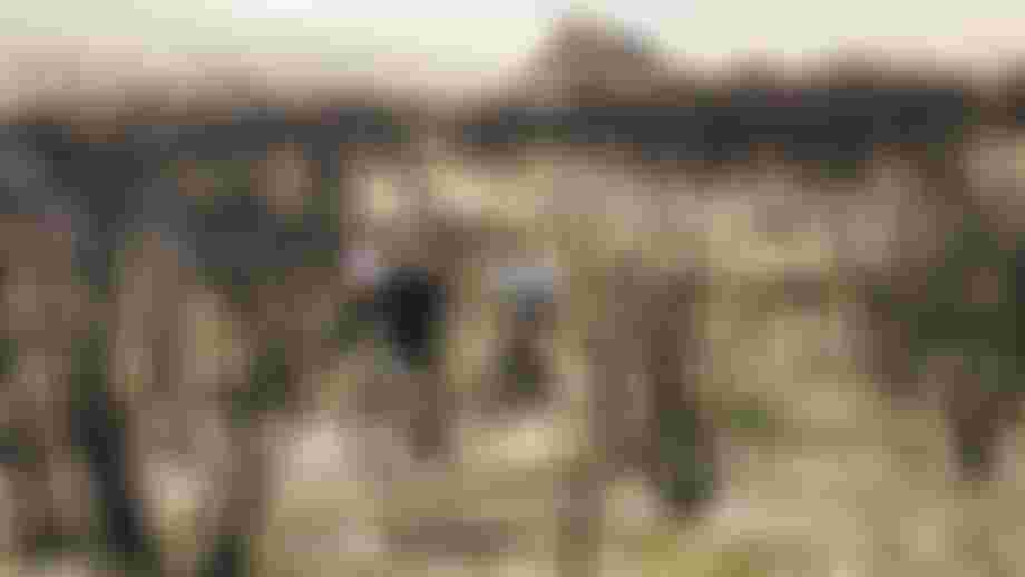 SQlab Trail Lifestyle