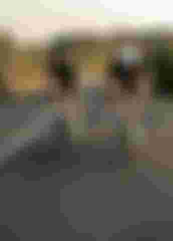 SQlab Road Lifestyle