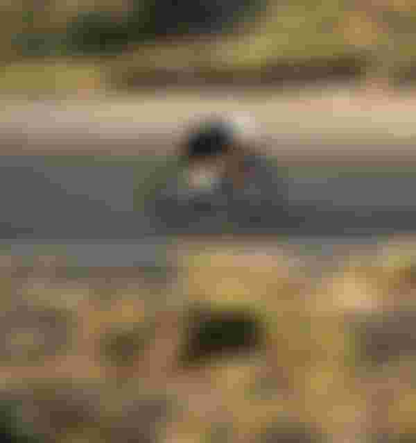 SQlab Road Lifestyle